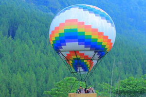 aprilia profile icon