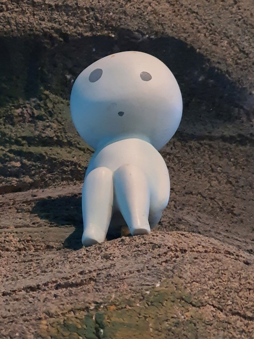 Poncha ny profile icon