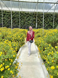 Lily Aris profile icon