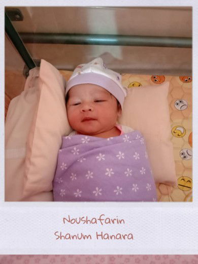 launching di 41weeks