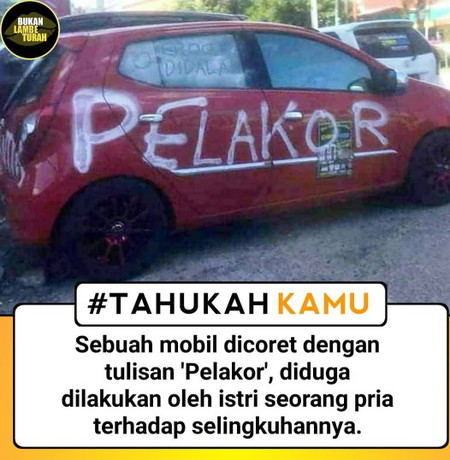 pelakor