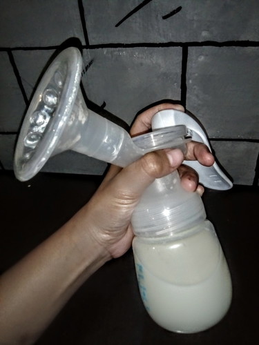 เส้นทางนมแม่