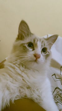 Rizky DR profile icon