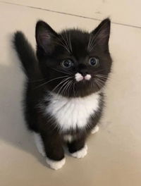 ลูก แก้ว profile icon