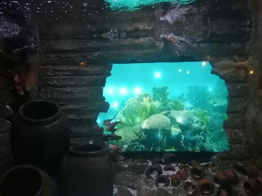 W.Fatin Fathiah profile icon