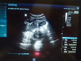 megawati profile icon