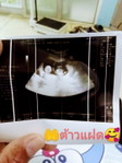 สมบัติ หงษ์โต profile icon