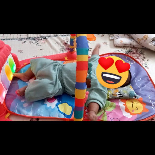 Jual Playmate babygym