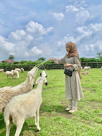 Arum Mawarni profile icon