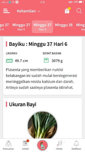 37w6d plasenta beristirahat