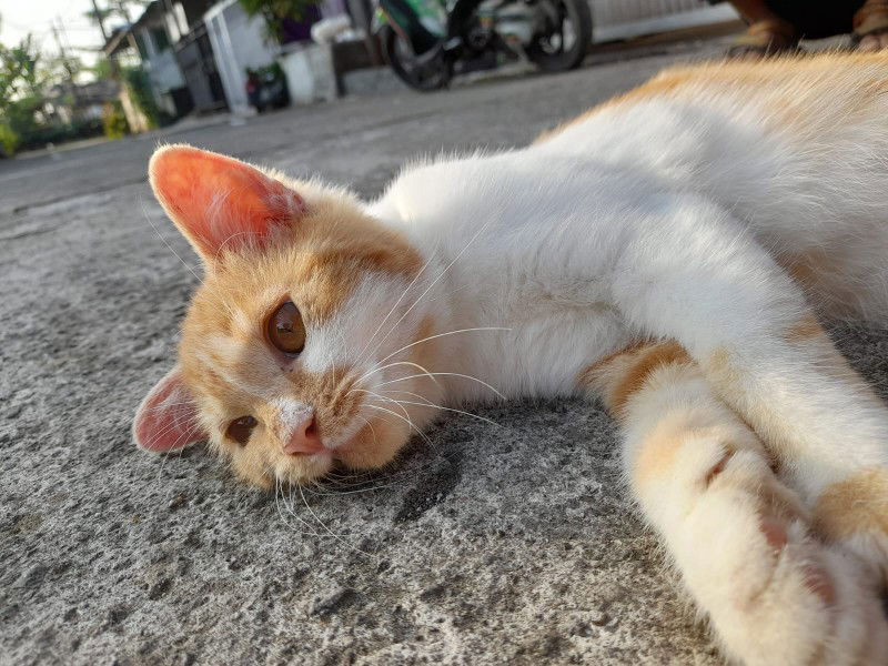 Menanti jadi Ibu profile icon