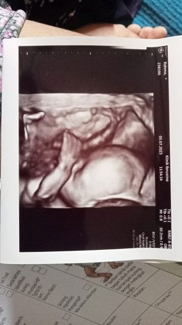 Adiba Shakila profile icon