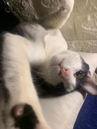 ปันปัน profile icon