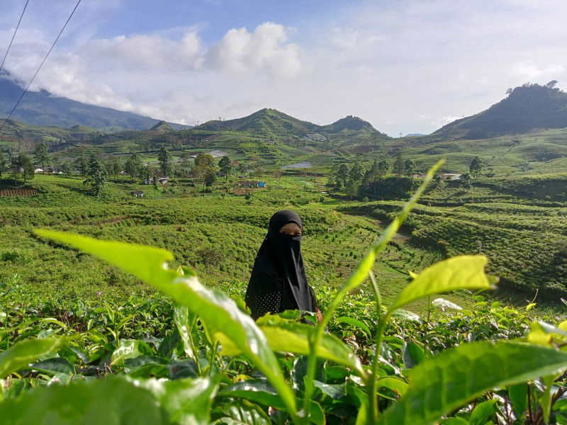 Tuti Nurjannah212 profile icon