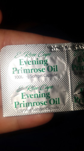 Evening Primrose
