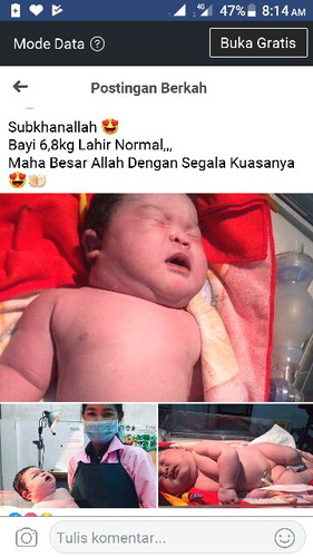 ?? bayi gede