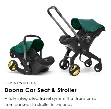 Stroller & Car Seat in 1
