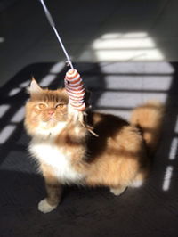 Tanpa Nama profile icon