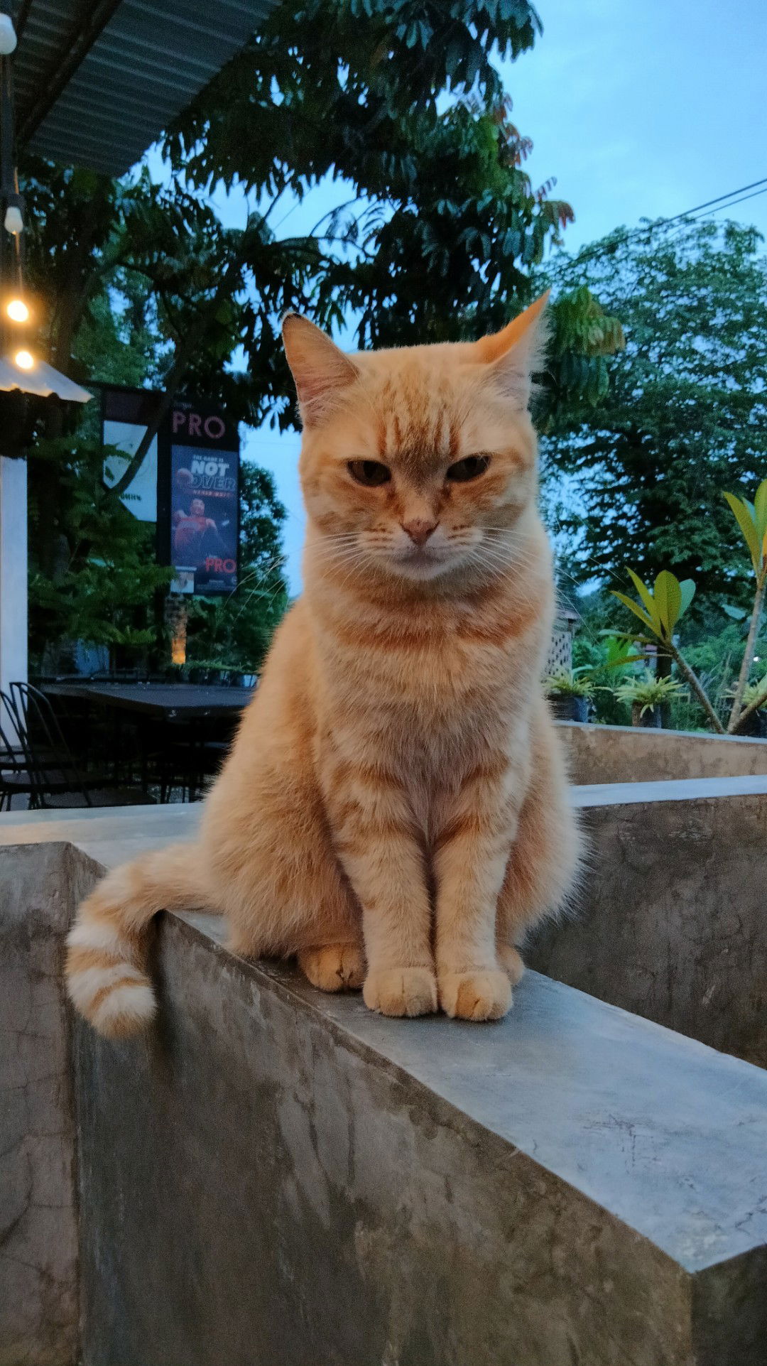 Leni Juni.A profile icon