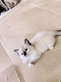 Nurul Safinaz profile icon