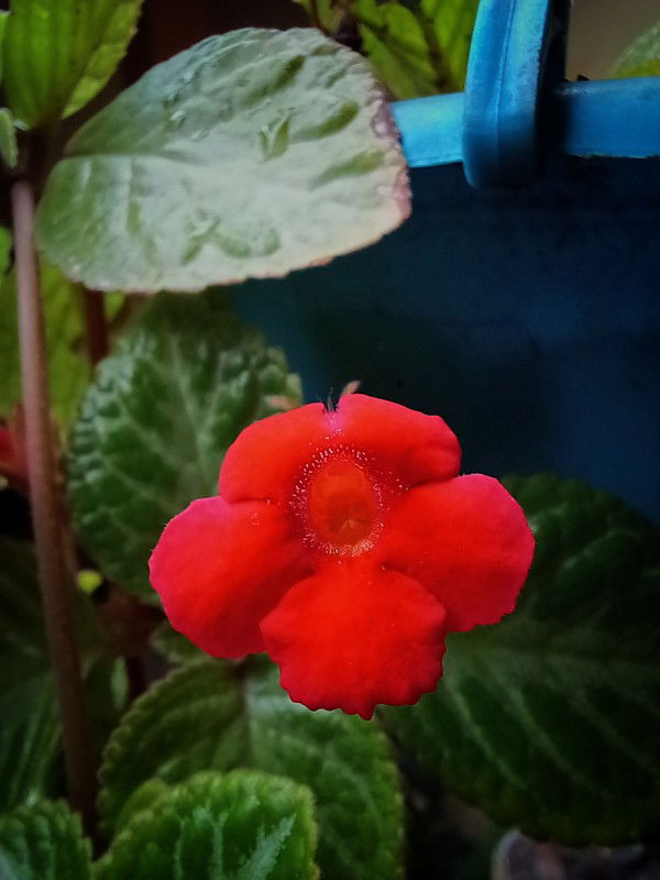 أُمّاه صَّالِحَةُ profile icon