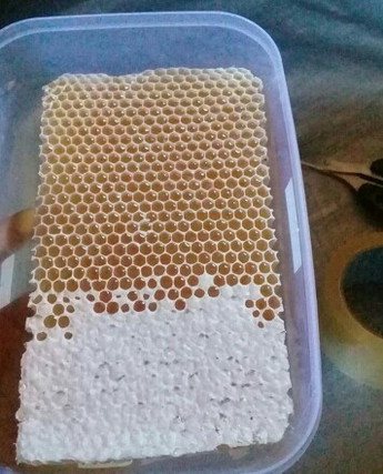 manfaat madu untuk ibu hamil