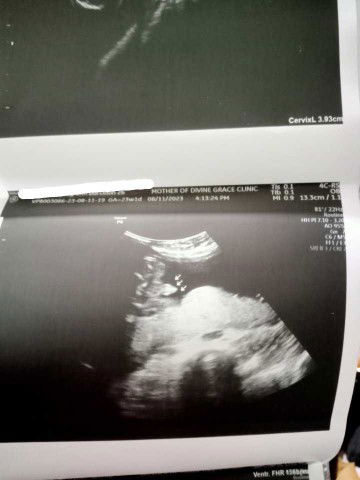 Judy Austero profile icon