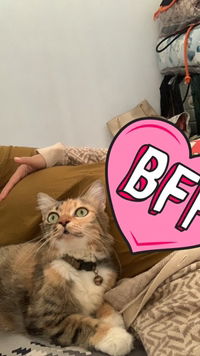 Ayu Nanda profile icon