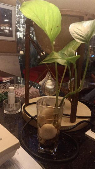 Elin Jendera profile icon