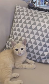 Amalina Aryna profile icon