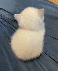 Ainun Jariah profile icon