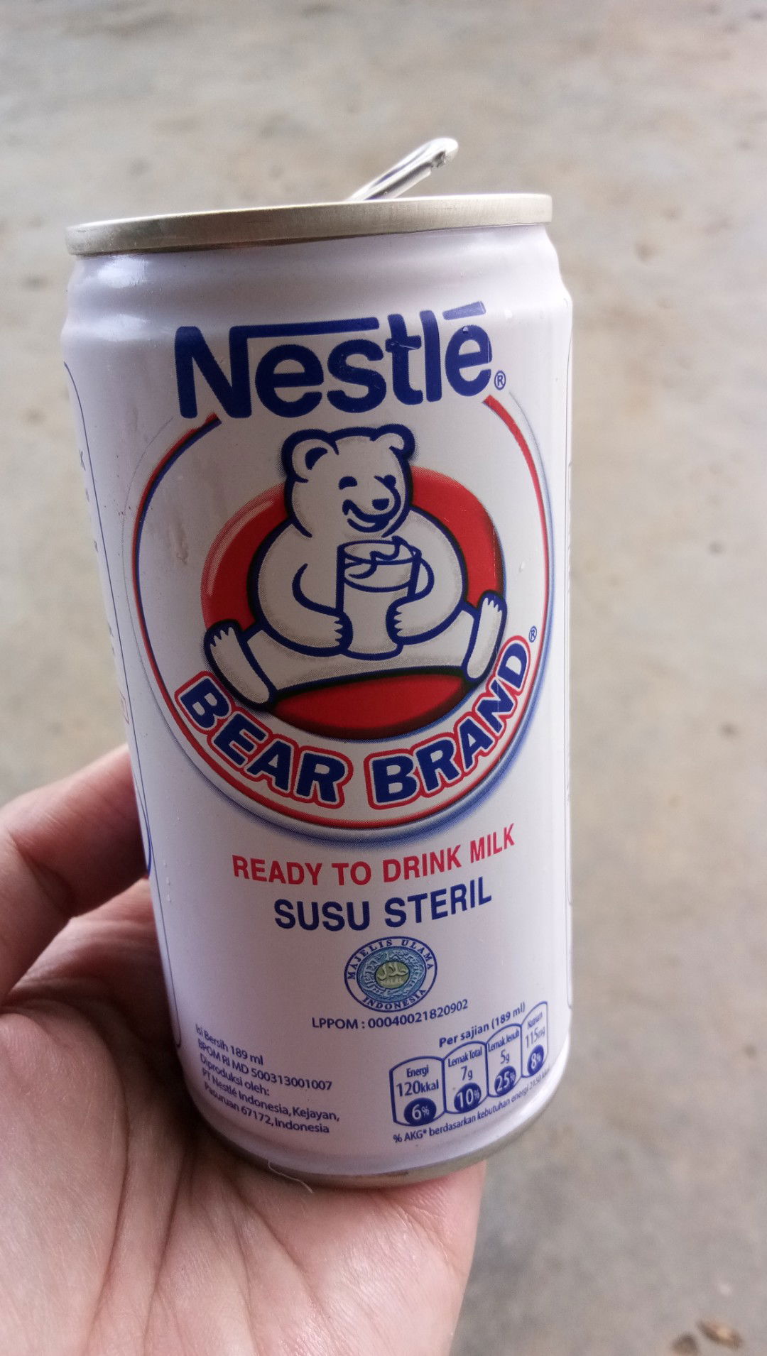 Pengganti susu ibu hamil