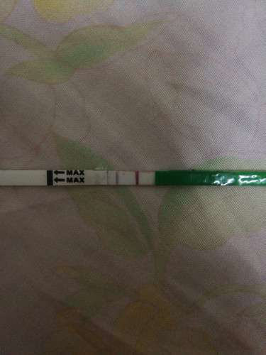 menanti positif OPK