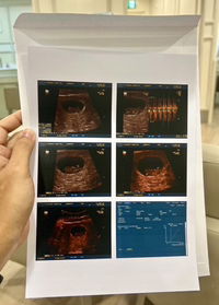 Nantanee Thongsriket profile icon