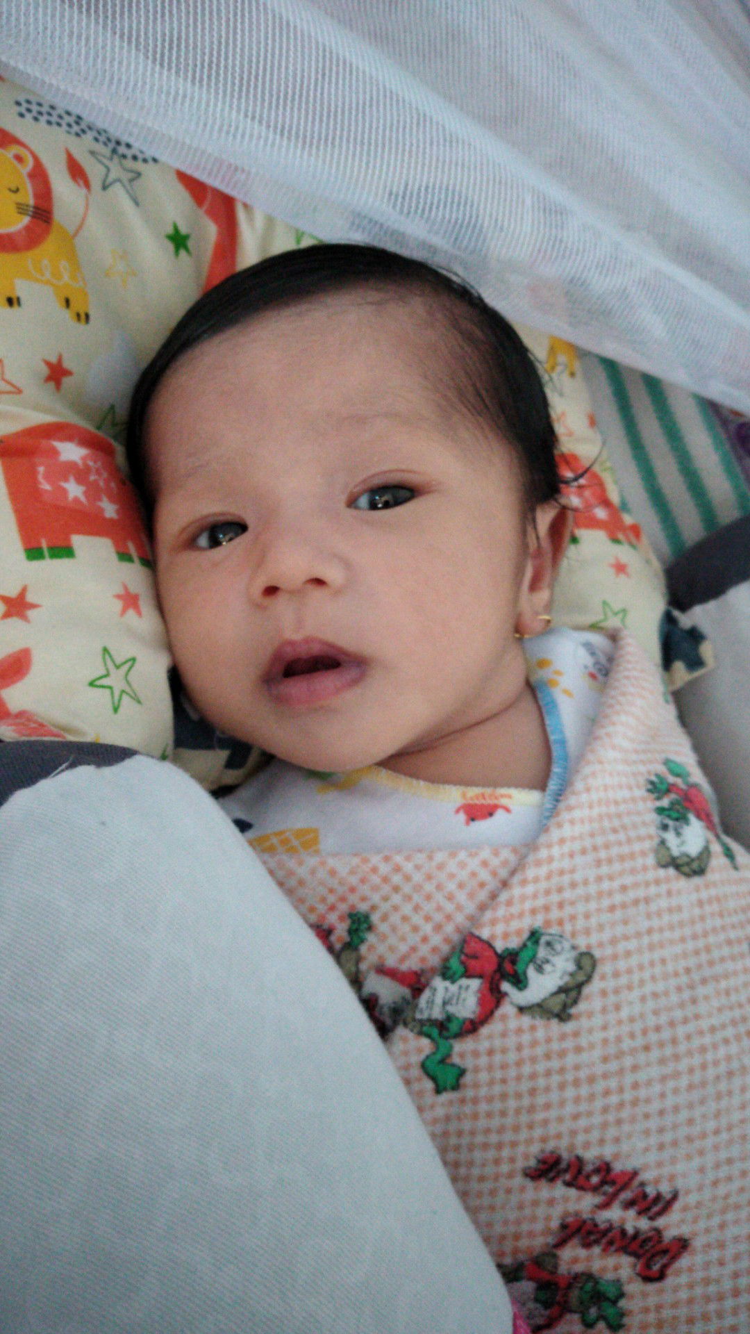bapil bayi new born