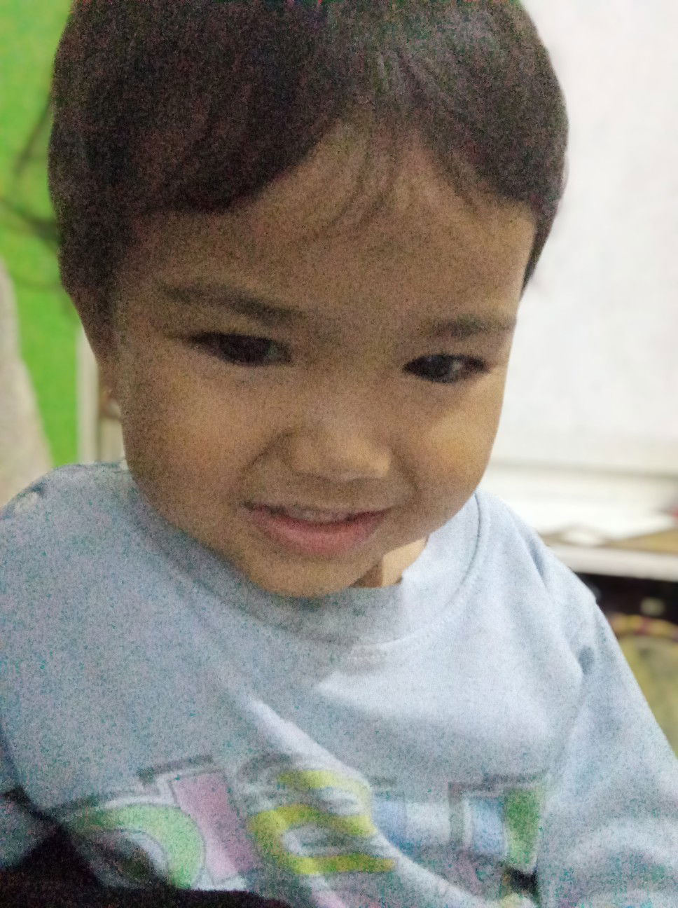 Silvi Insani profile icon