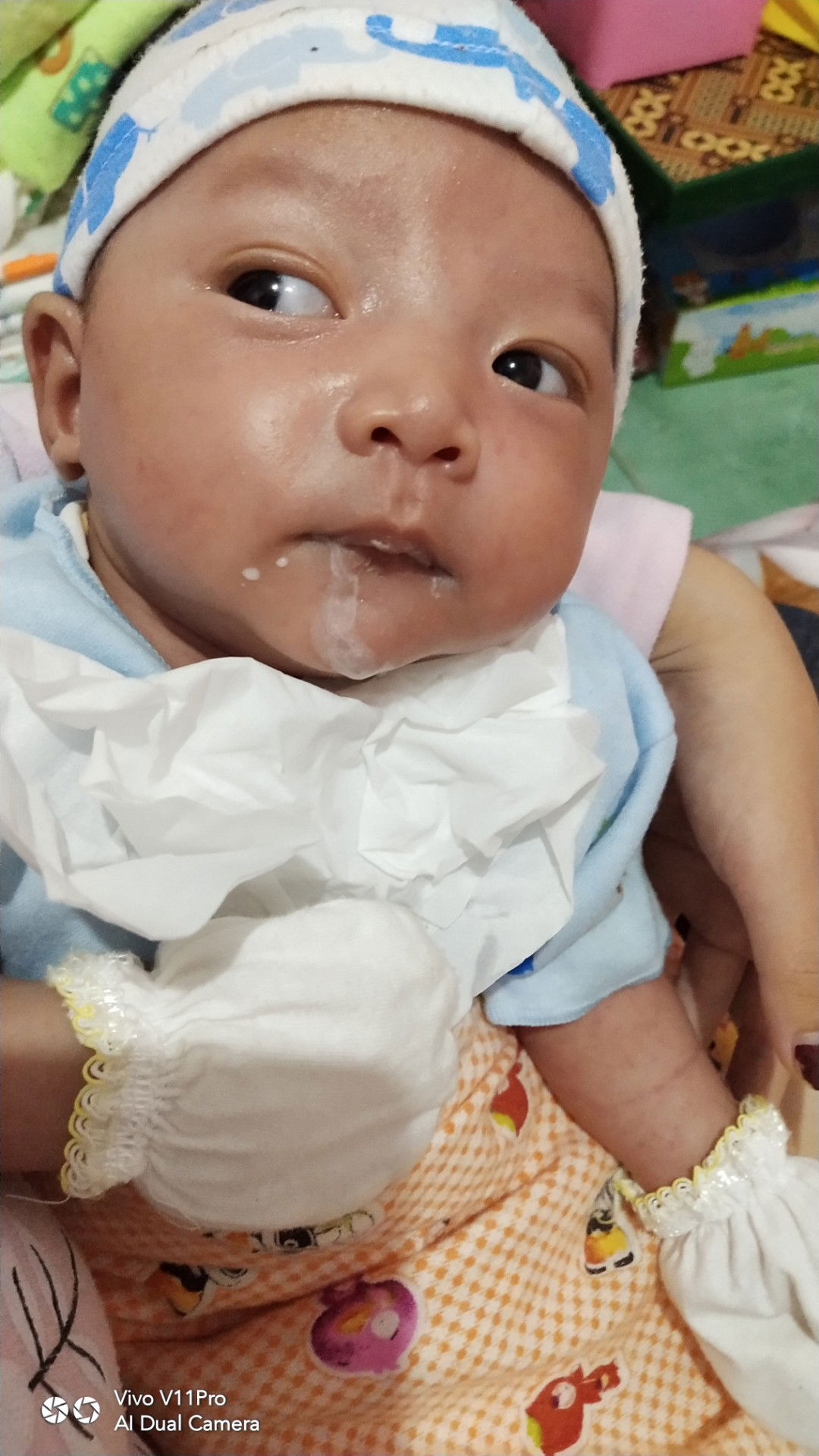 Mimi selalu di gumohkan, Pilih susu SGM/Bebelove?