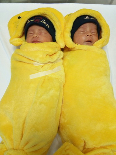 สวัสดีปีใหม่