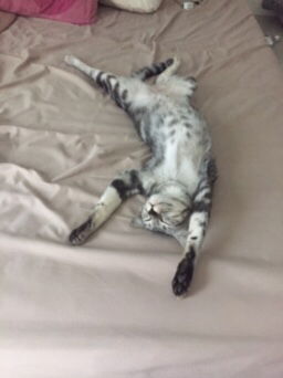 จิณห์ profile icon