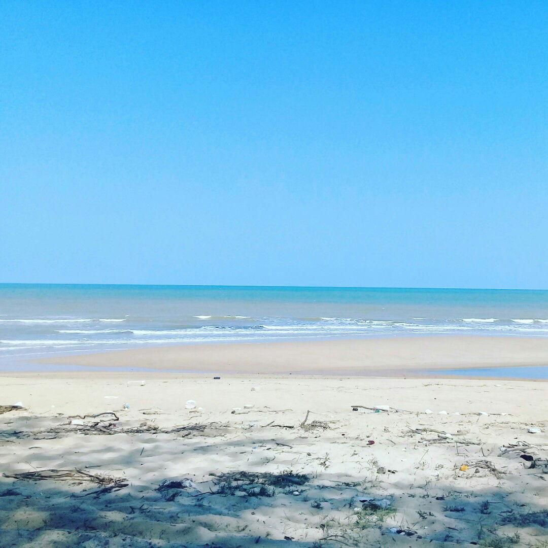 rinapau profile icon