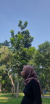 tiara safitri profile icon