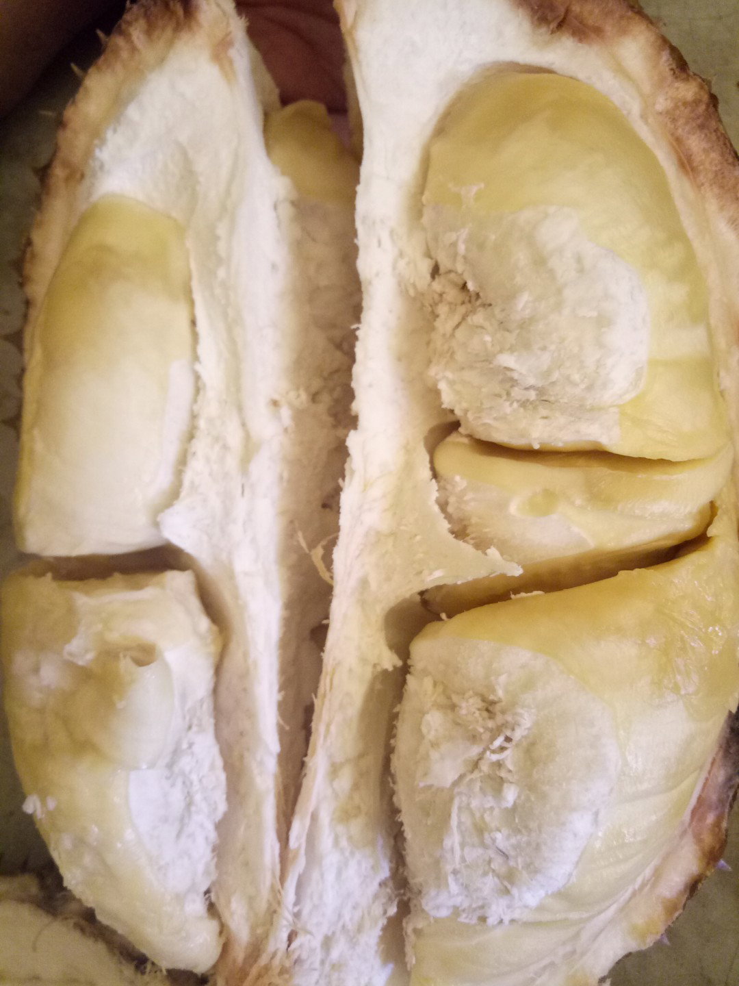 duren