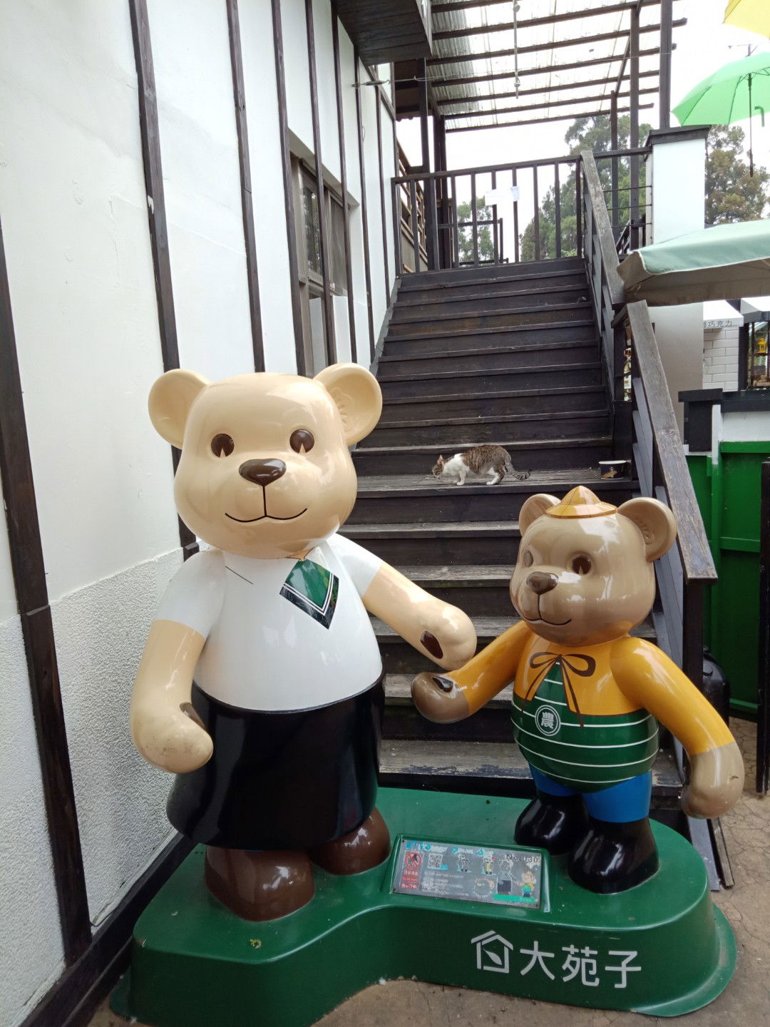 Fion Cyndi profile icon