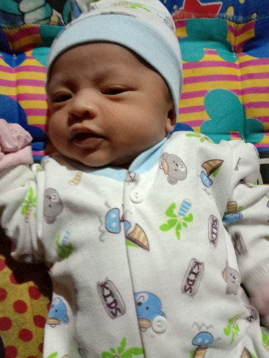 bayi q