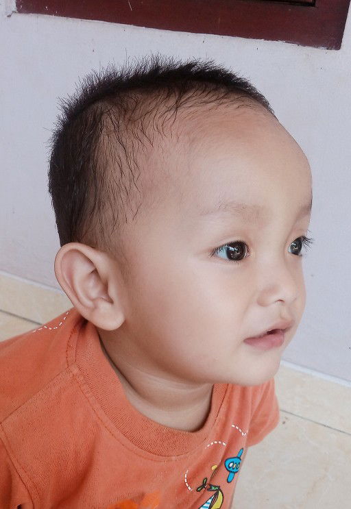 Laella Safian profile icon