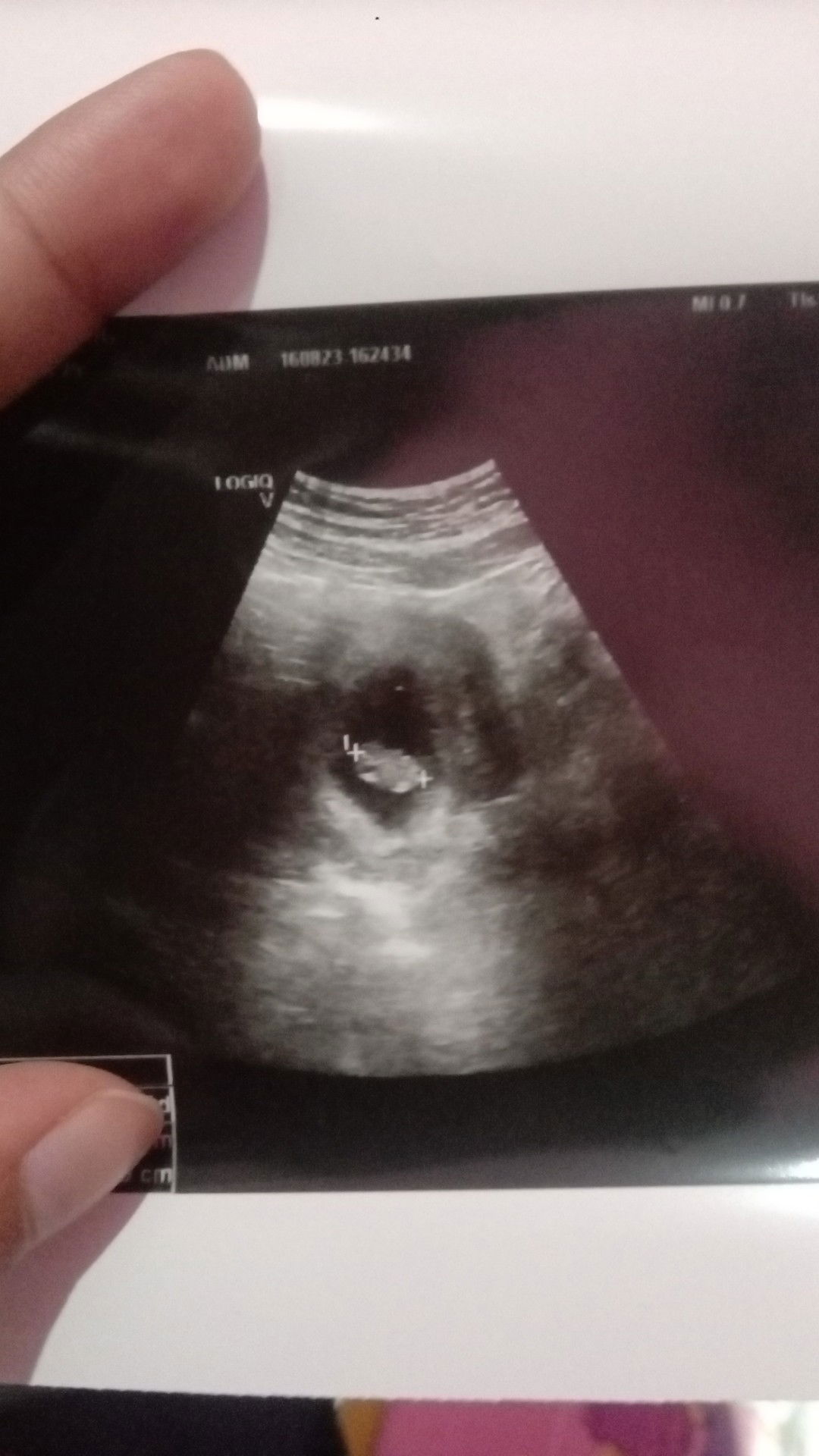 Fatma Kirkov profile icon