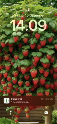 Chintya profile icon