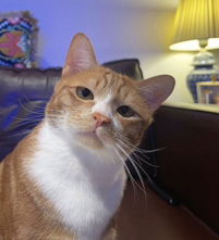 qqqqqoou profile icon