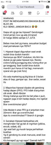 hipseat