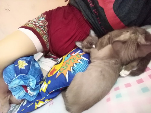 นอนแคงยากรู้สึกปวด?